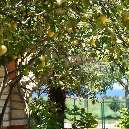 Fortuna Novigrad (Istria)