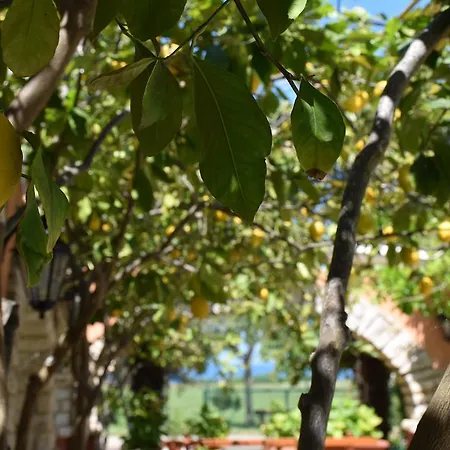 Fortuna Guest house Novigrad (Istria)